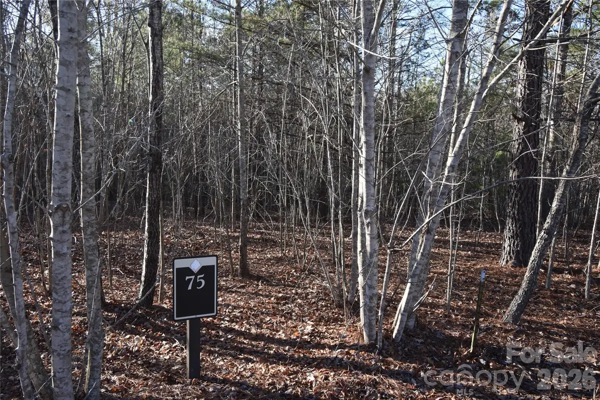 Lot 75 Tayberry Drive, Nebo, NC 28761 - #1
