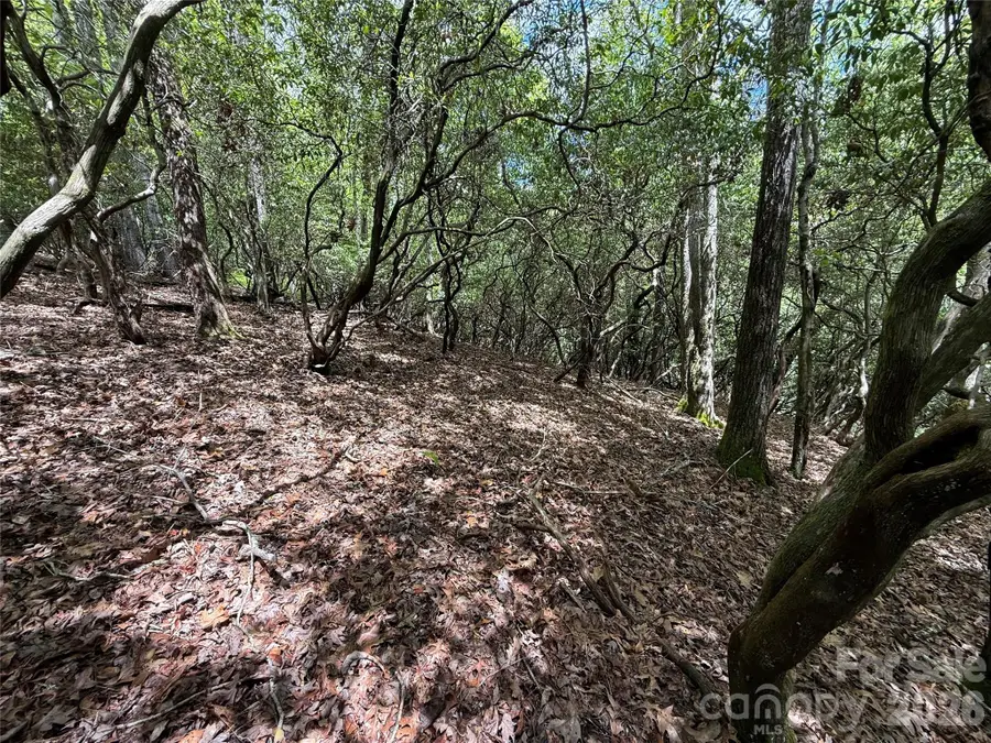 TBD Tellico Trail #42/22, Brevard, NC 28712 - #2