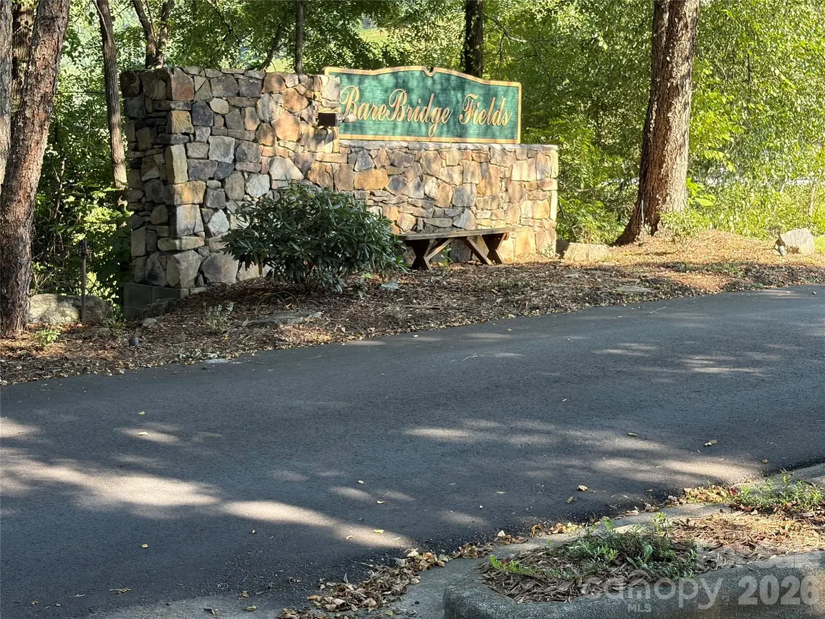 51 Barebridge Fields Road #51, Burnsville, NC 2874 - #1