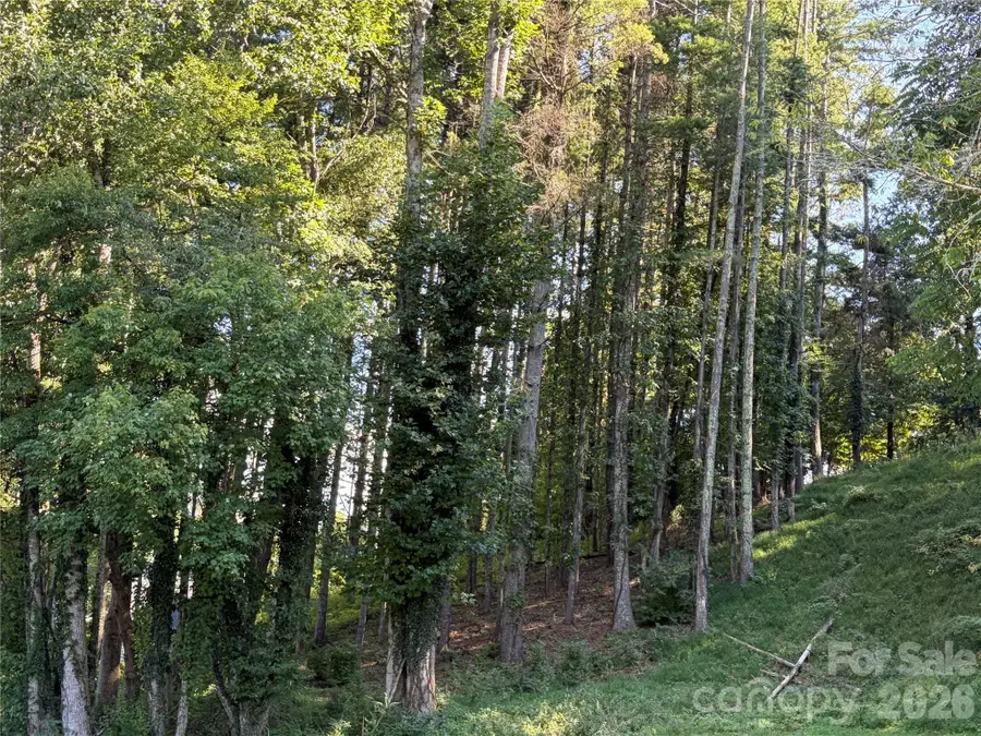 51 Barebridge Fields Road #51, Burnsville, NC 2874 - #3