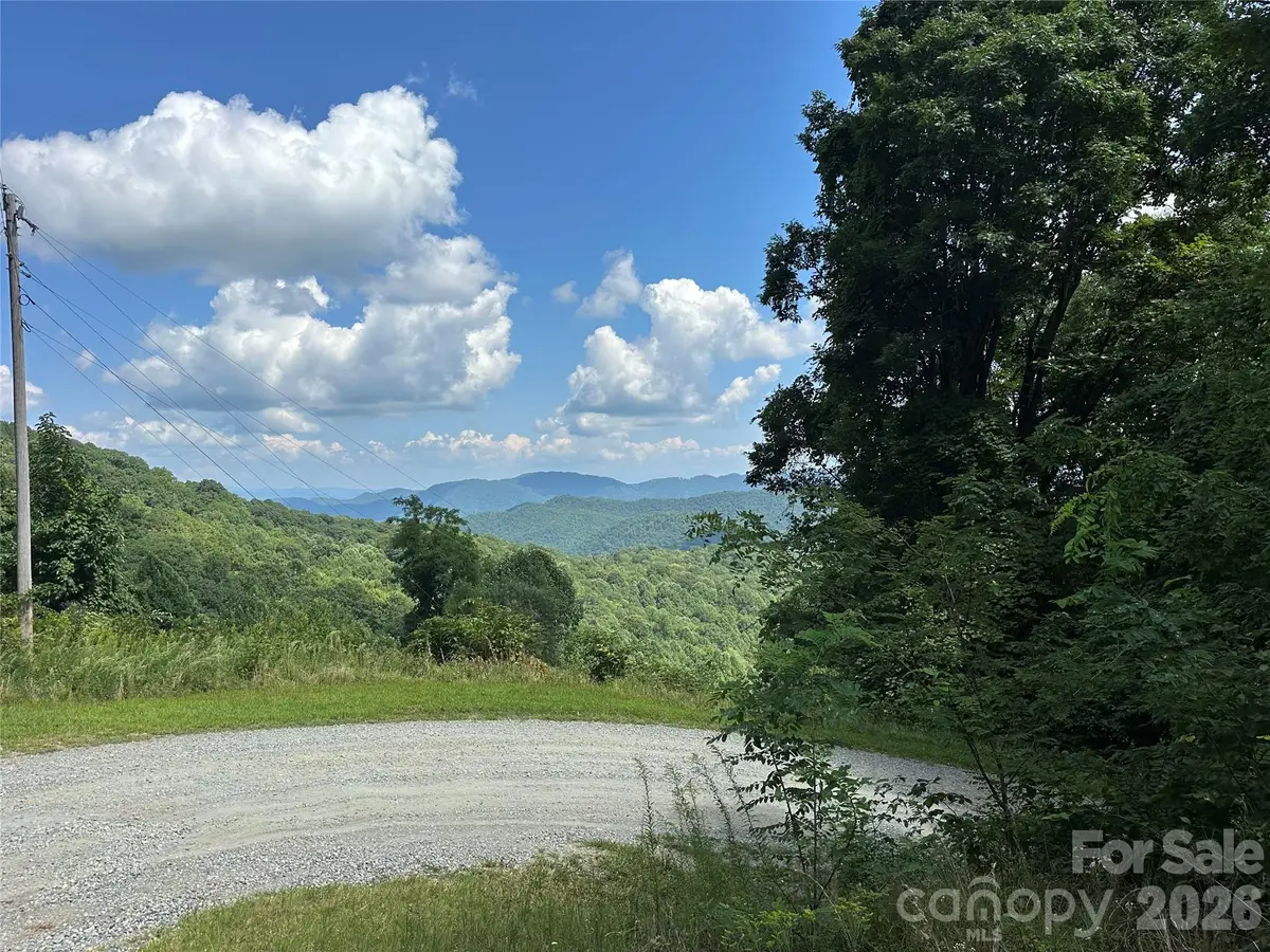 99999 Running Bear Road, Hot Springs, NC 28743 - #1