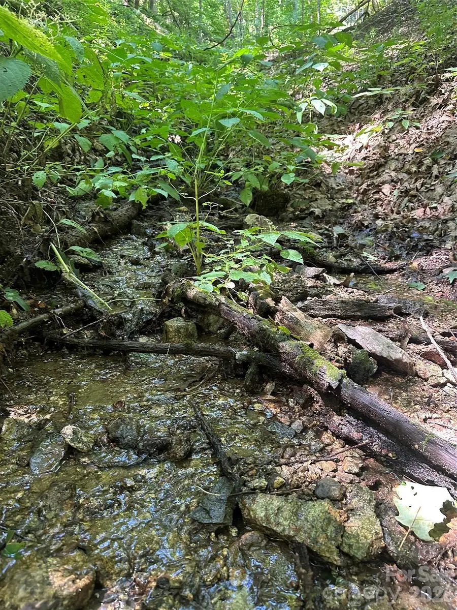 99999 Running Bear Road, Hot Springs, NC 28743 - #3