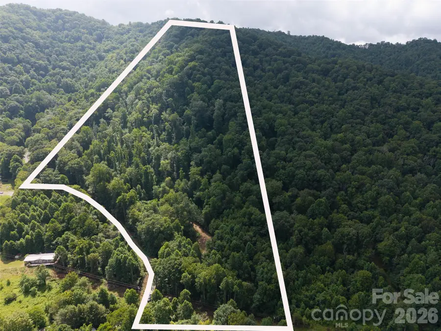 00 Sugar Cove Road, Clyde, NC 28721 - #2