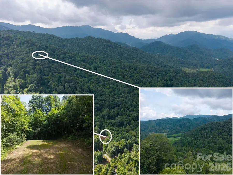 00 Sugar Cove Road, Clyde, NC 28721 - #3