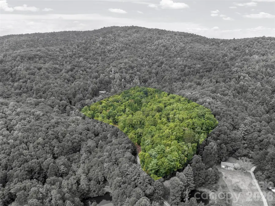 000 Pond Road, Spruce Pine, NC 28777 - #3