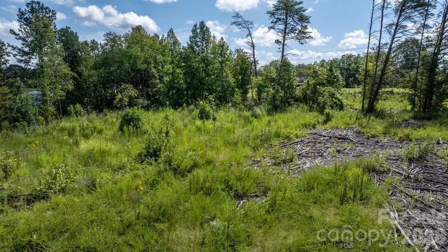 817 Drucilla Church Road, Nebo, NC 28761 - #2