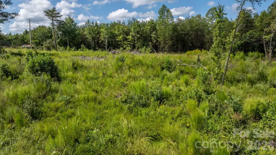 817 Drucilla Church Road, Nebo, NC 28761 - #3