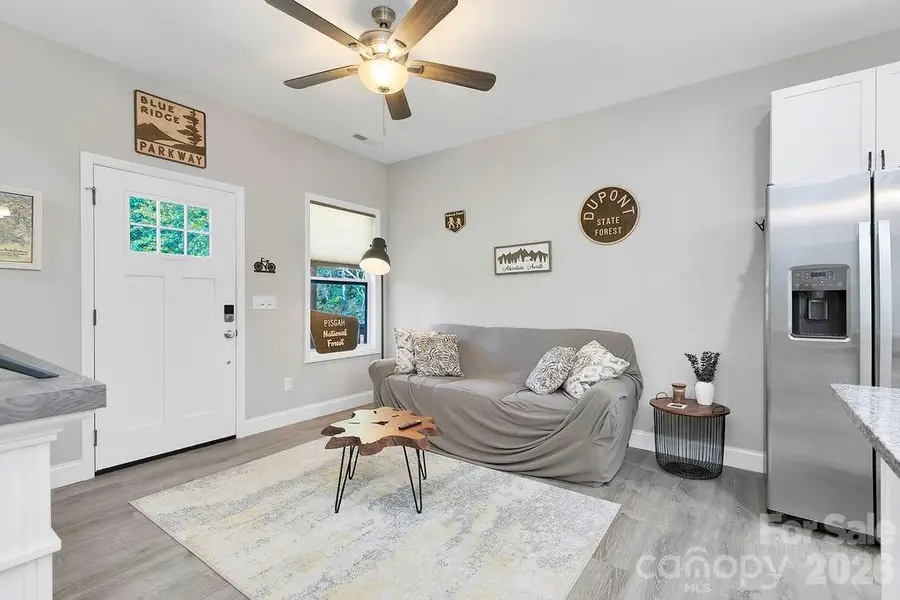46 Old Chestnut Lane, Hendersonville, NC 28739 - #3