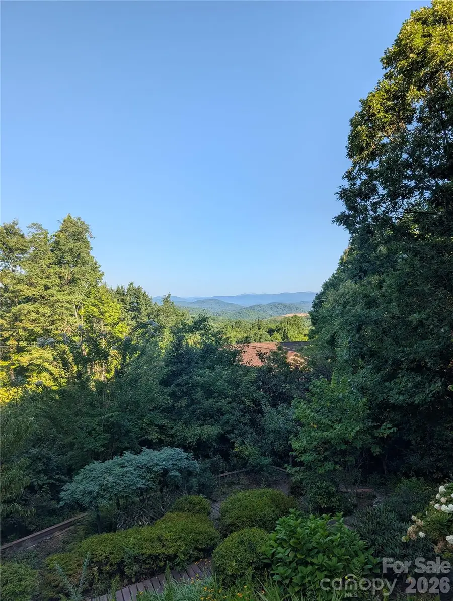 29 Panther Ridge Road, Brevard, NC 28712 - #2