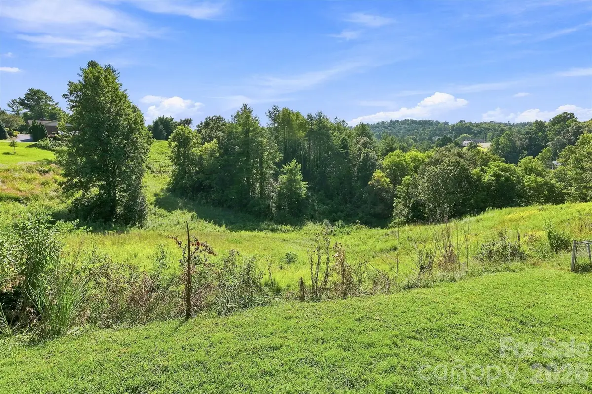 30 Morning Glory Lane, Weaverville, NC 28787 - #1
