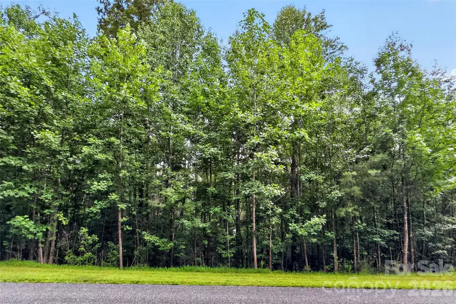 360 Harborside Drive, Nebo, NC 28761 - #3
