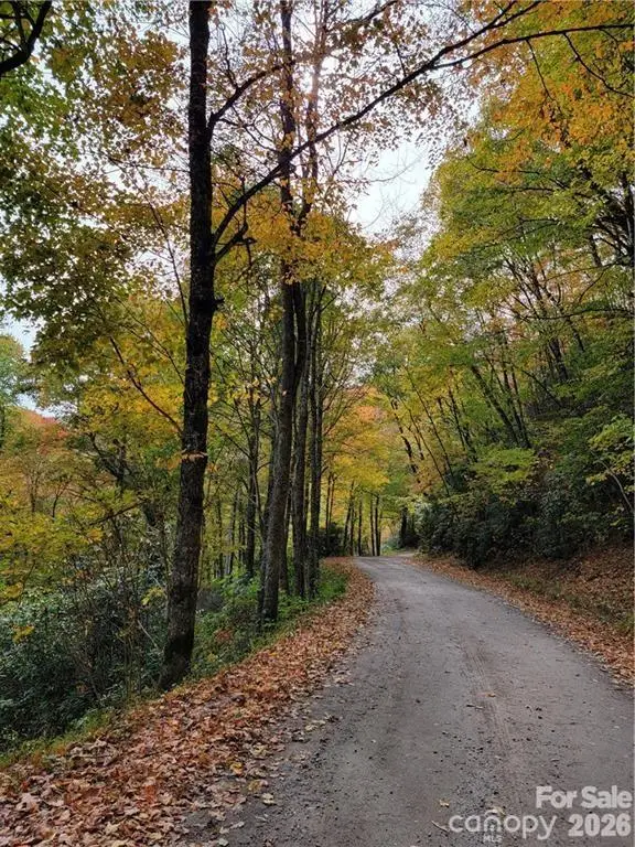 24 Tater Patch Road, Maggie Valley, NC 28751 - #2