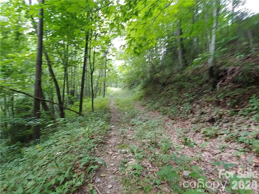 24 Tater Patch Road, Maggie Valley, NC 28751 - #3