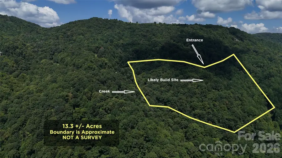 TBD Black Bear Trail, Leicester, NC 28748 - #2