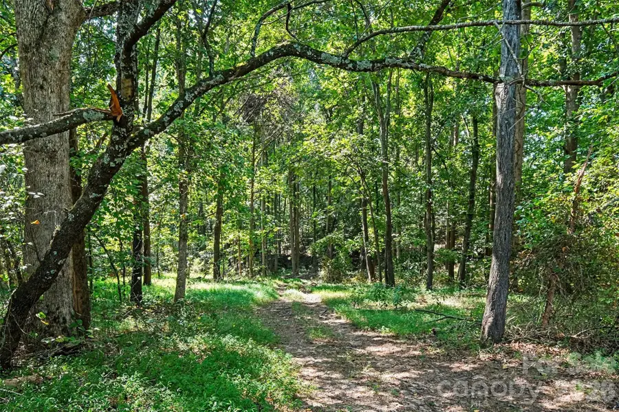 16 Acres Dan Rhyne Road, Vale, NC 28168 - #3