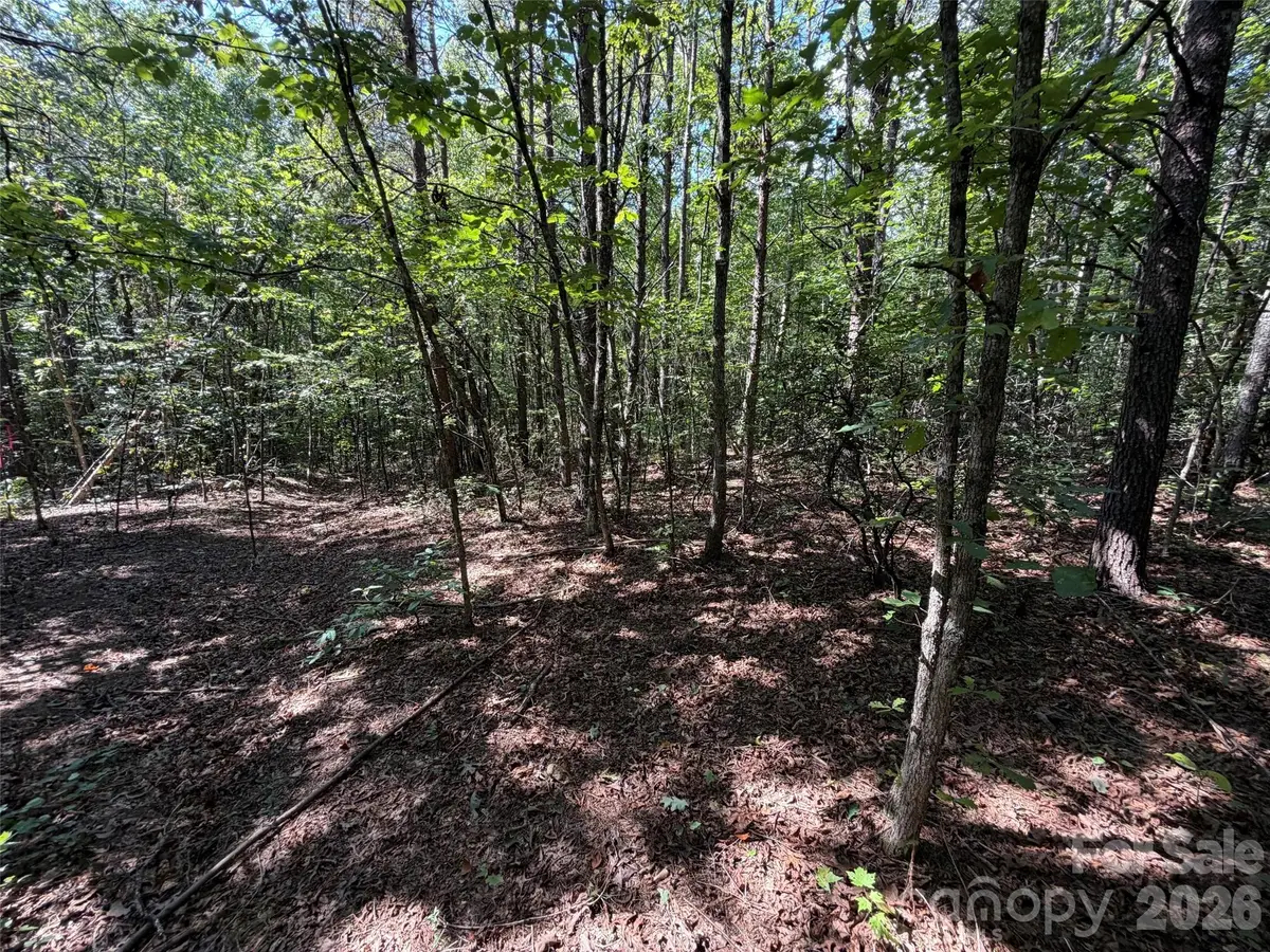 476 Southern Way, Nebo, NC 28761 - #1