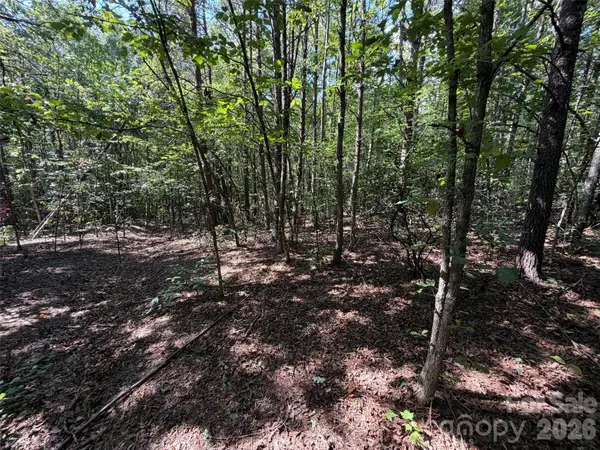 476 Southern Way, Nebo, NC 28761