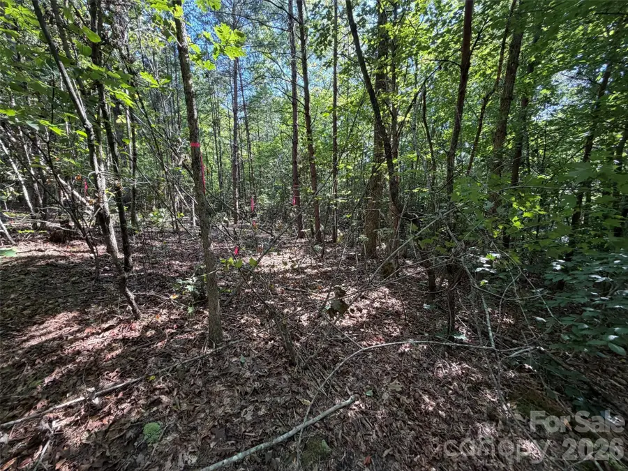 476 Southern Way, Nebo, NC 28761 - #2