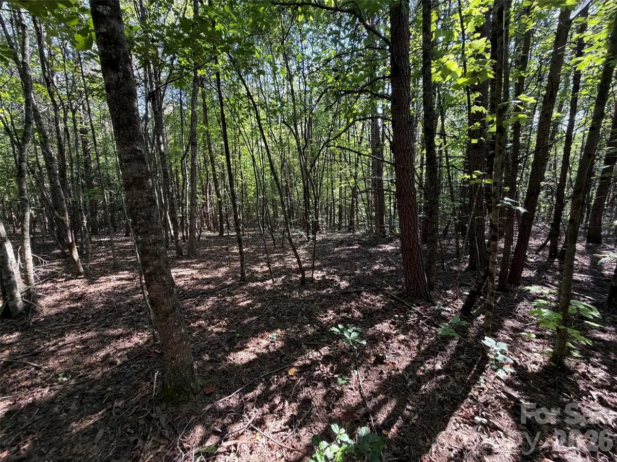 472 Southern Way, Nebo, NC 28761 - #1