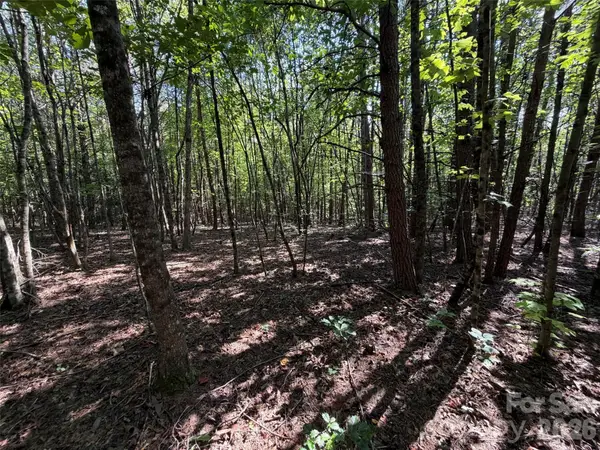 472 Southern Way, Nebo, NC 28761