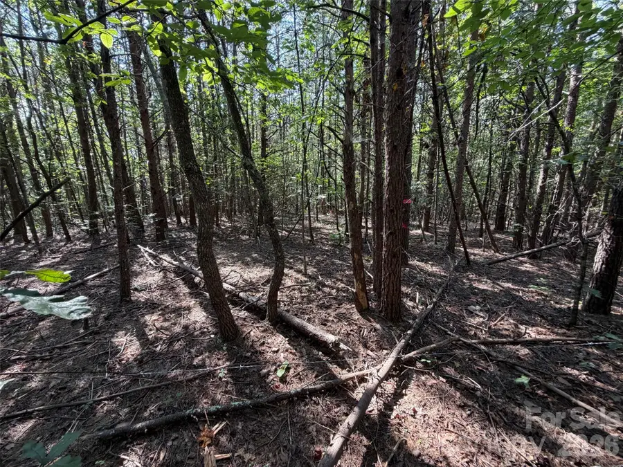 472 Southern Way, Nebo, NC 28761 - #2