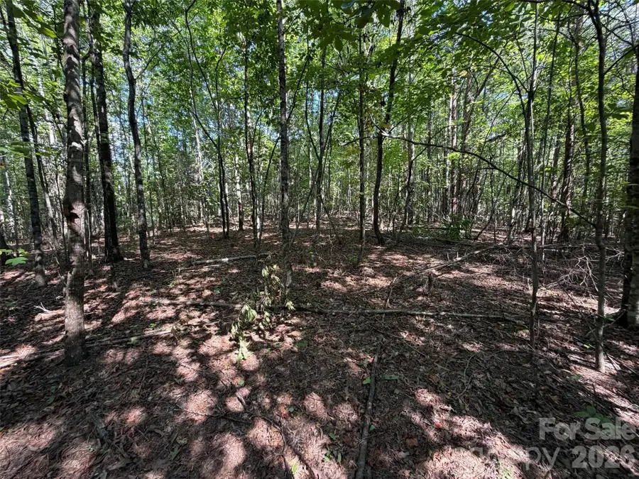 472 Southern Way, Nebo, NC 28761 - #3