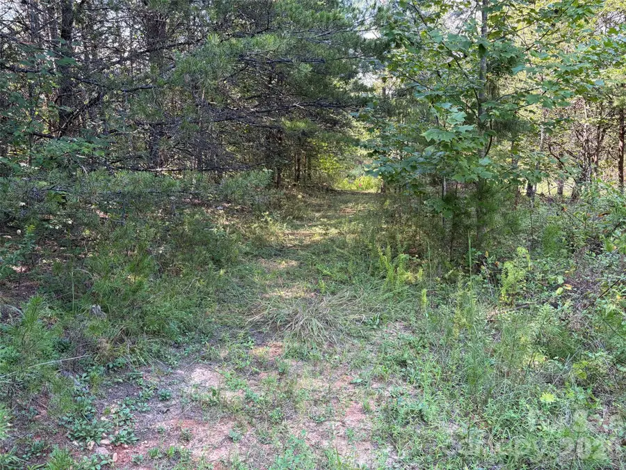 468 Southern Way, Nebo, NC 28761 - #3