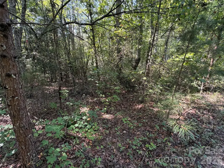 420 Southern Way, Nebo, NC 28761 - #2