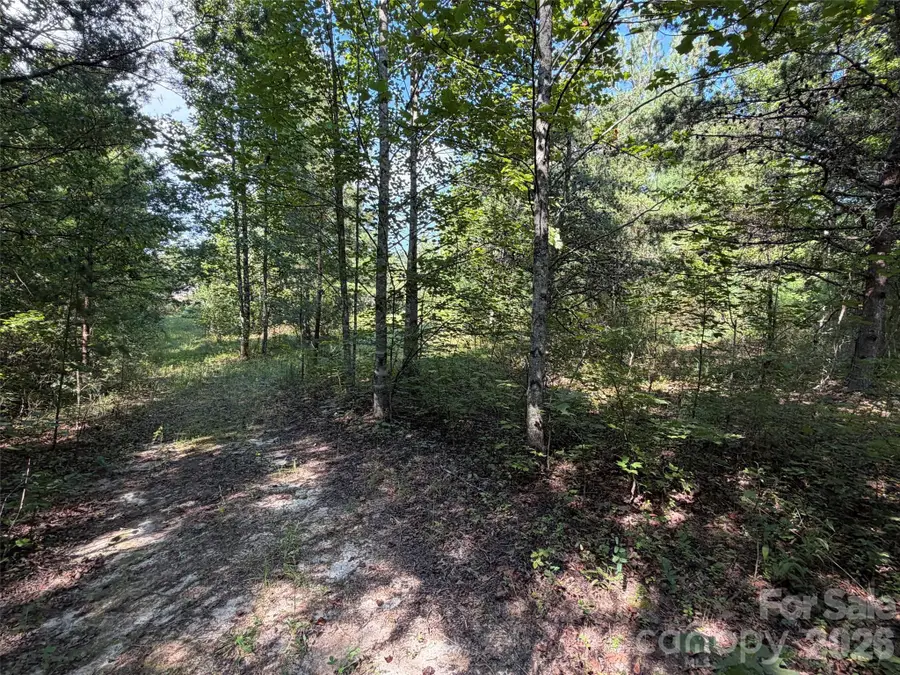 420 Southern Way, Nebo, NC 28761 - #3
