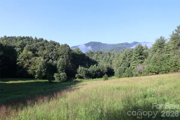 99999 Dream Valley Drive, Clyde, NC 28721