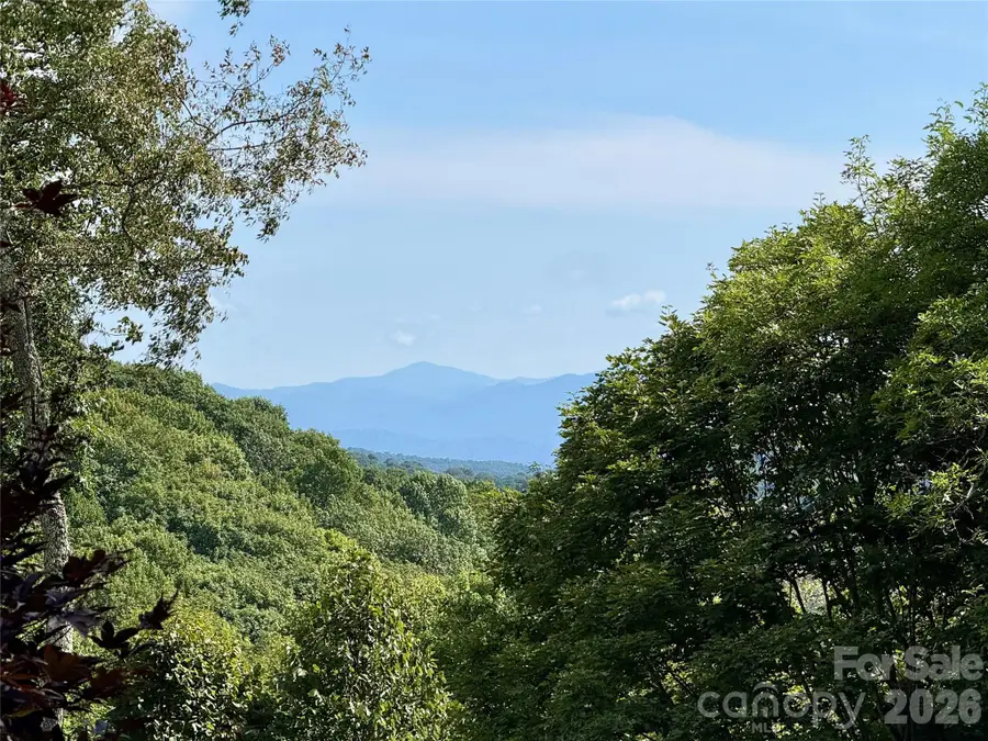 98 Goldenleaf Road, Mars Hill, NC 28754 - #2