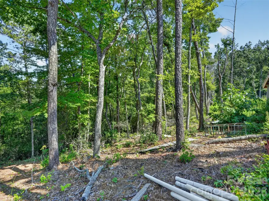 00 Jacks Paw Lane, Hendersonville, NC 28792 - #3