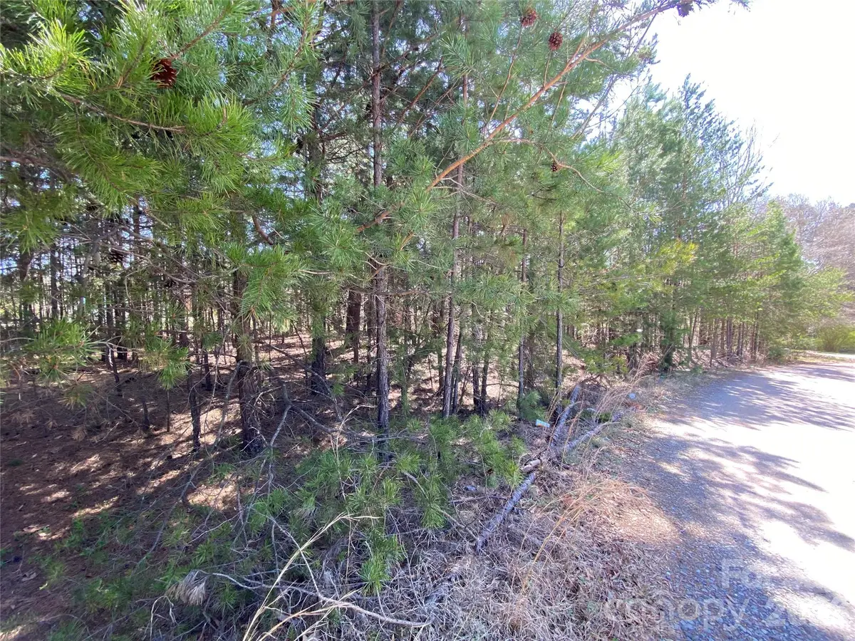 Next to 1670 Buck Oak Road, Lincolnton, NC 28092 - #1