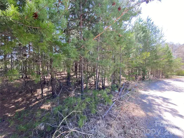 Next to 1670 Buck Oak Road, Lincolnton, NC 28092