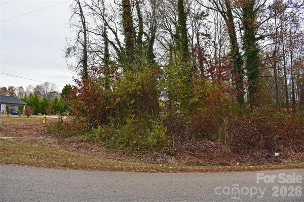 00 Horseshoe Lake Road, Lincolnton, NC 28092