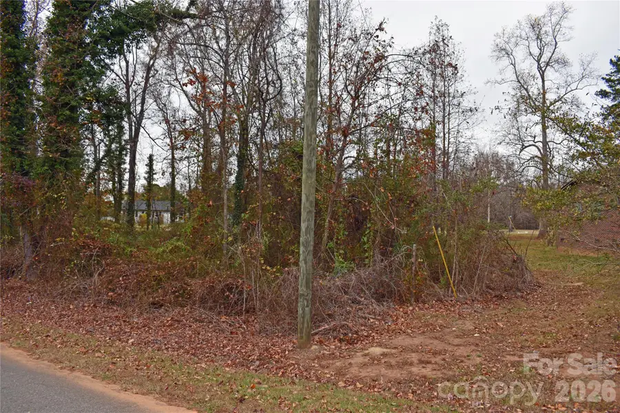 00 Horseshoe Lake Road, Lincolnton, NC 28092 - #2