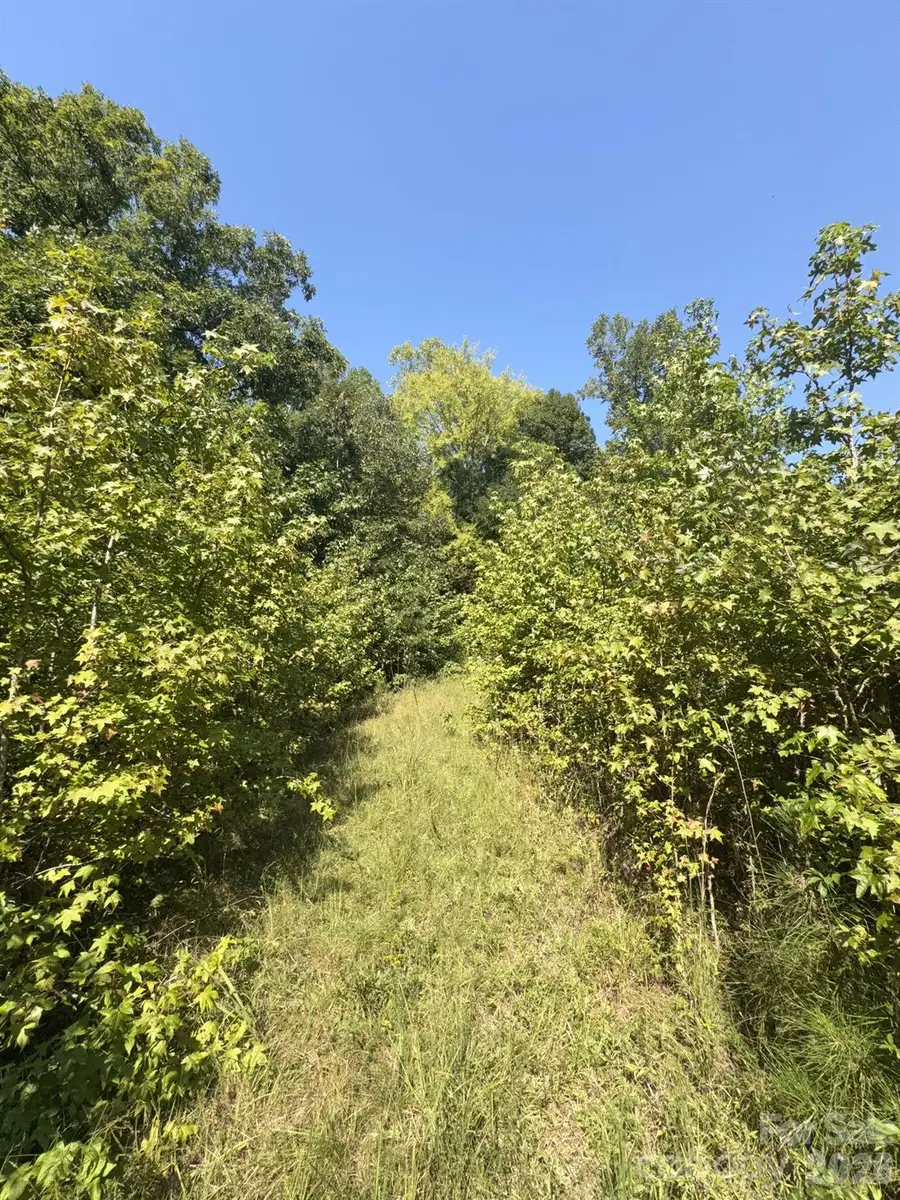 0 Flat Swamp Road, Denton, NC 27239 - #2