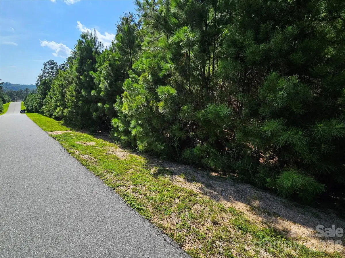 TBD Coveside Drive #149, Granite Falls, NC 28630 - #1