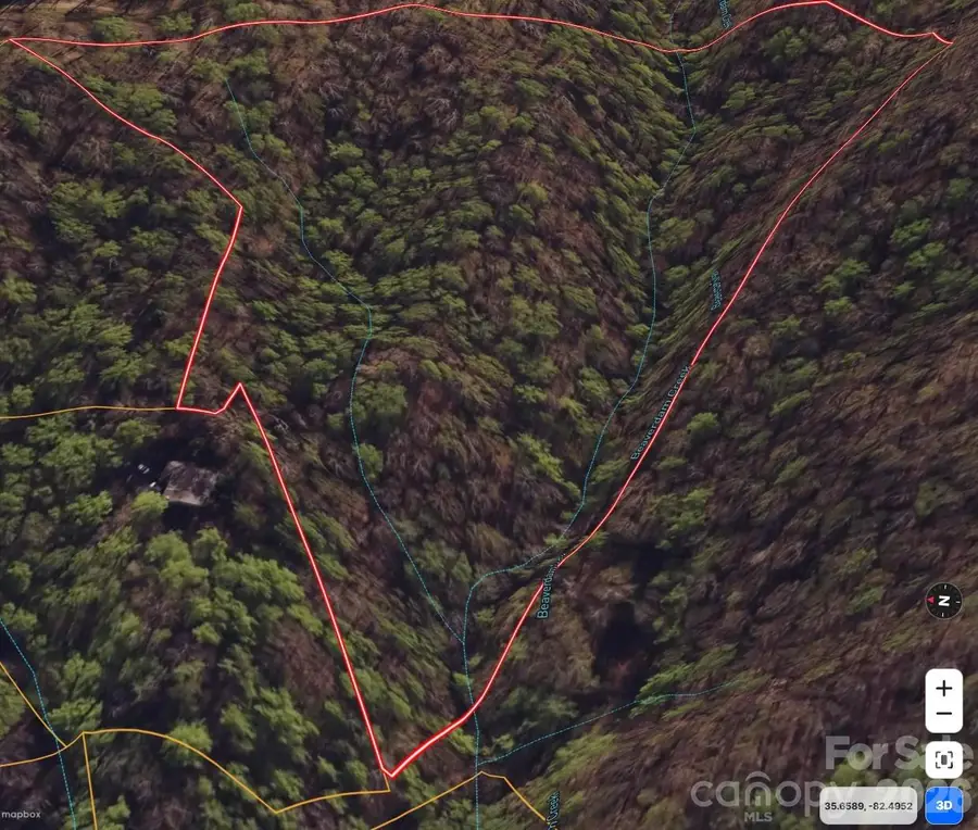 99999 Lynn Cove Road, Asheville, NC 28804 - #2