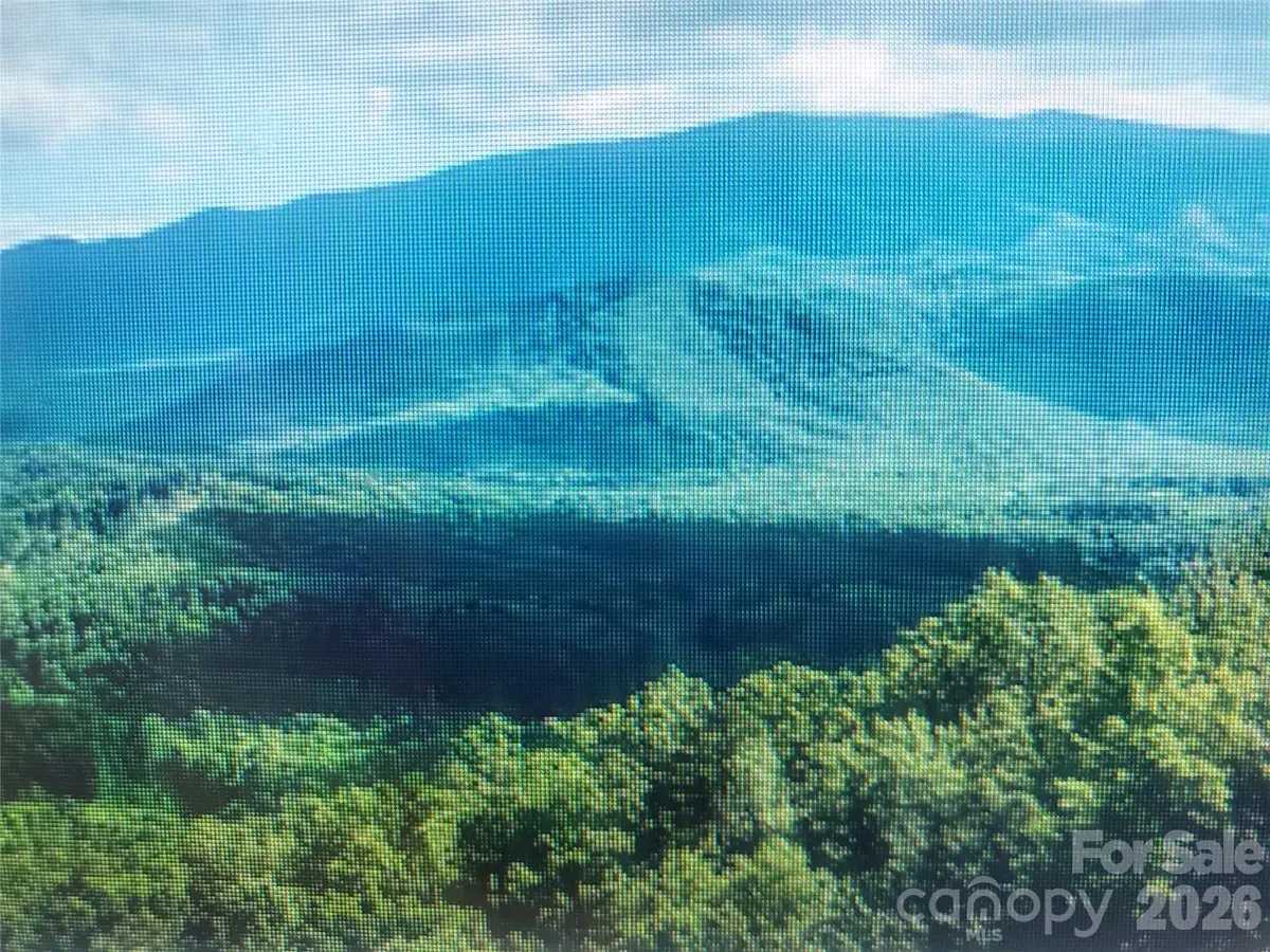 000 Justin Ridge #M, Clyde, NC 28721 - #1