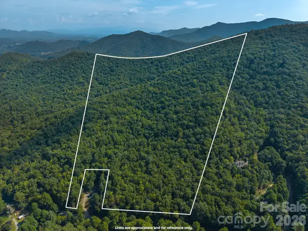 99999 Saw Branch Road, Candler, NC 28715