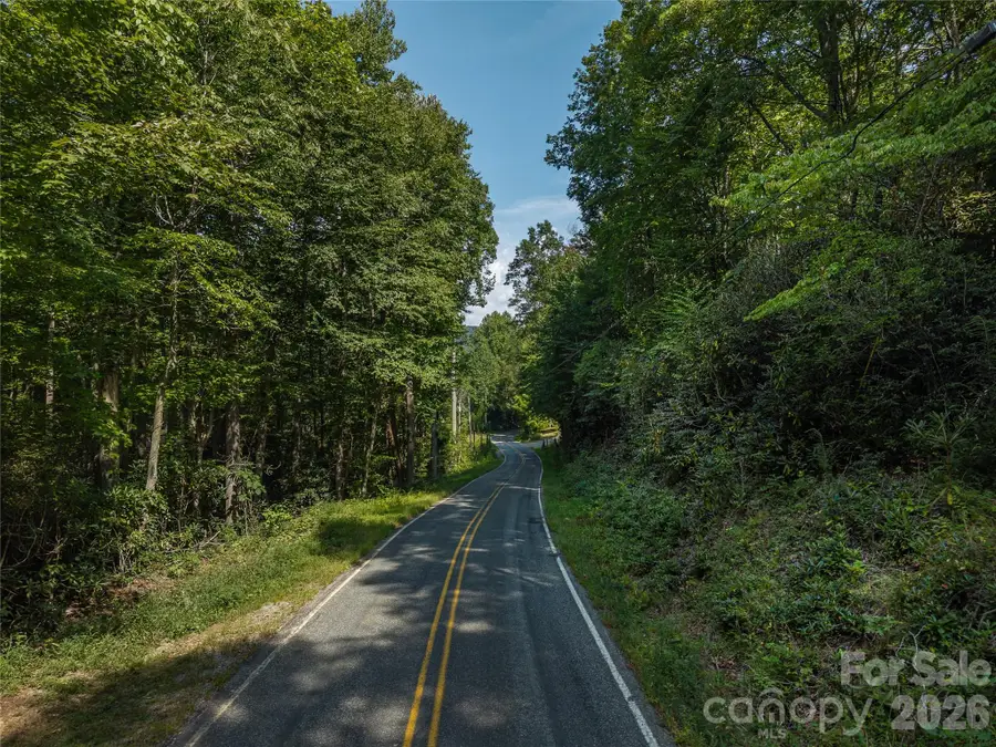 99999 Saw Branch Road, Candler, NC 28715 - #2