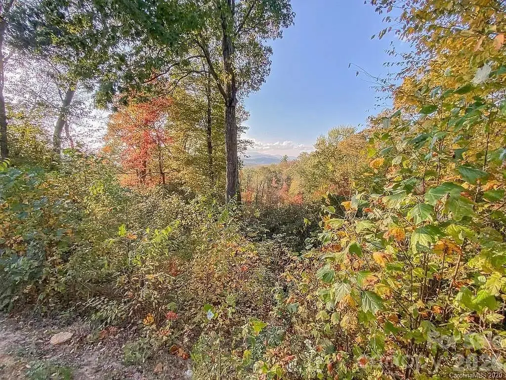 215 Crossvine Trail #11, Hendersonville, NC 28739 - #1