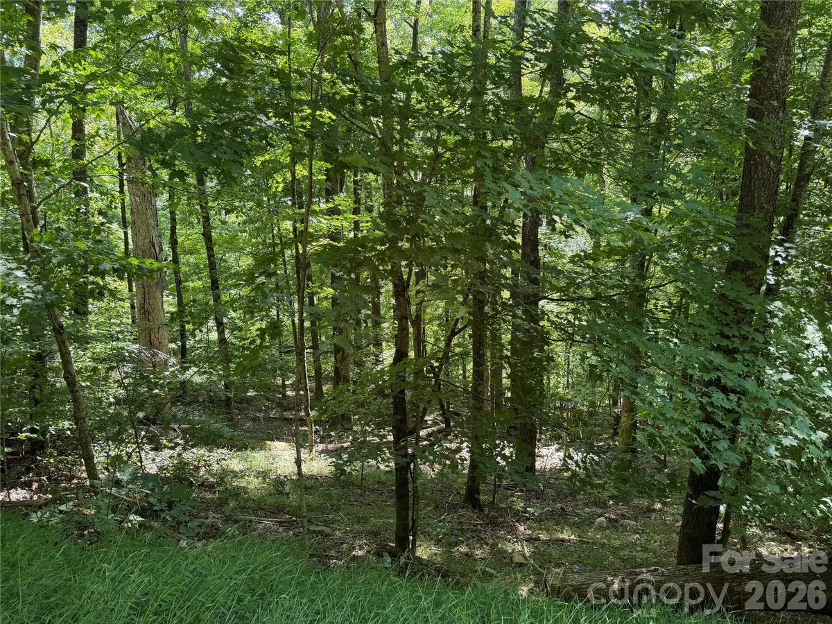 00 Chestnut Village Lane, Mars Hill, NC 28754 - #1