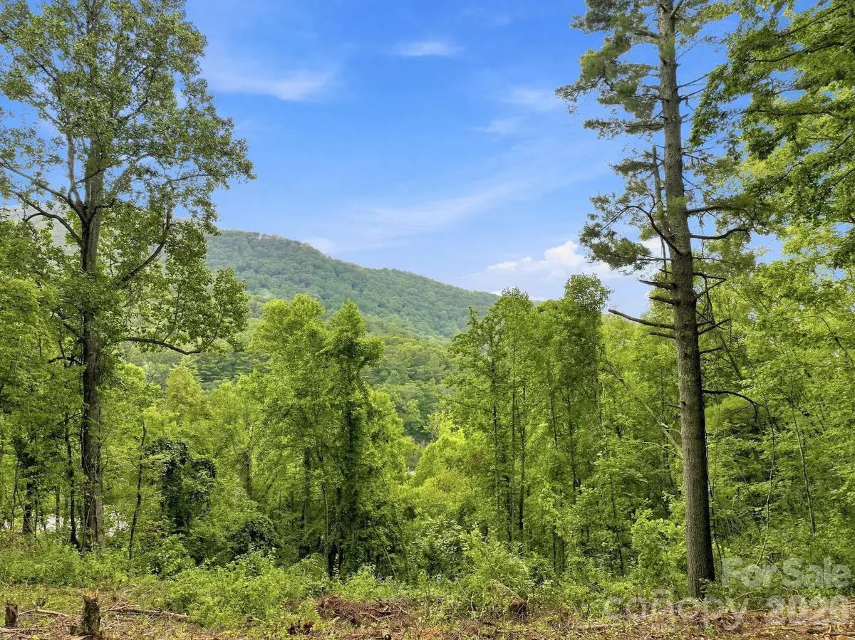 193 Fern Cove Lane, Gerton, NC 28735 - #1