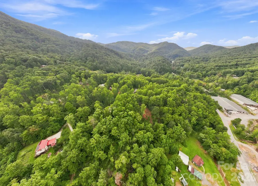 193 Fern Cove Lane, Gerton, NC 28735 - #3