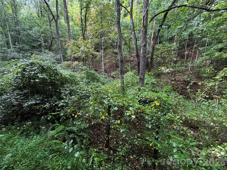 TBD Big Pine Road, Marshall, NC 28753 - #3