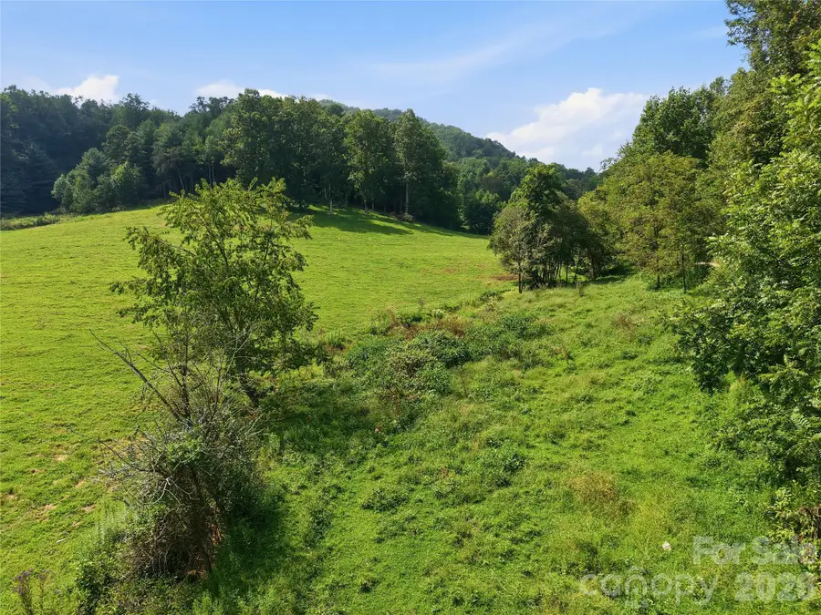 00000 Whippoorwill Lane, Leicester, NC 28748 - #2