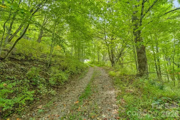 1768 Beaver Dam Road, Vilas, NC 28692