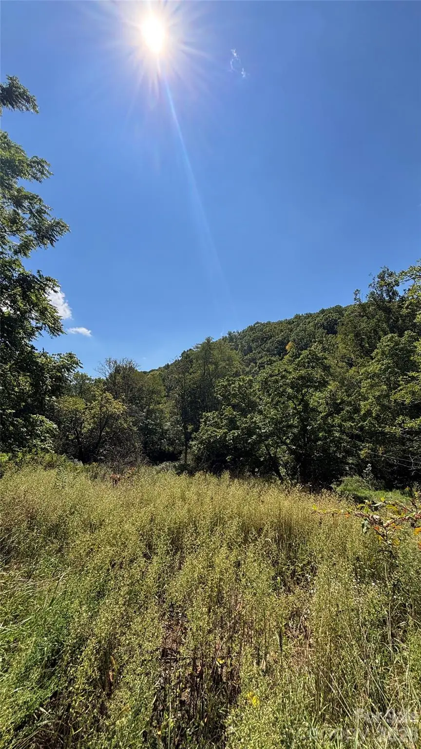 188 Velvis Hollifield Road, Spruce Pine, NC 28777 - #2